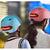 Shop electric scooter helmet, electric scooter safety , shop electric scooter at www.Siyu.ie
